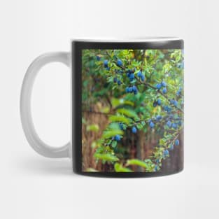 Plum tree in an orchard Mug